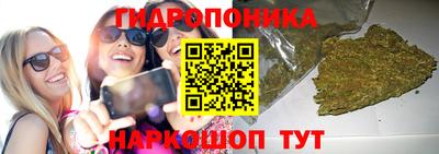 сатива Берёзовский