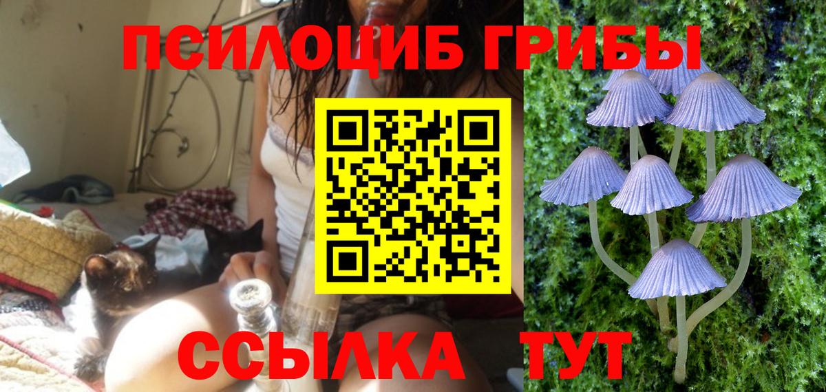 Канаш  Псилоцибиновые грибы ЛСД  Вход с VPN  Галлюциногенные грибы ЛСД 