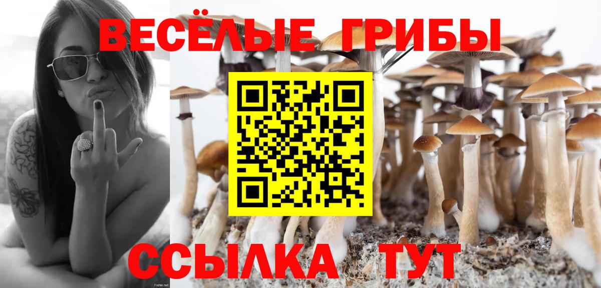 Псилоцибиновые грибы мицелий Канаш
